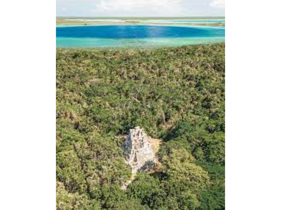 Venta Terreno por hectarea en Tulum Muyil - 5
