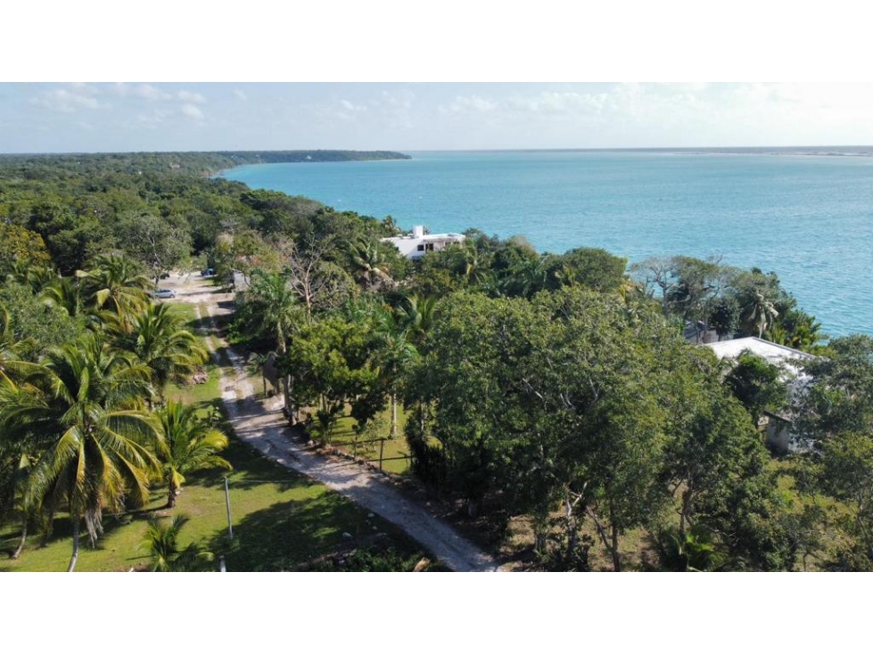 Venta Terreno Bacalar a 50 mts de la laguna - 2