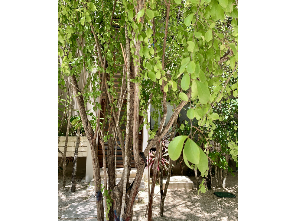 Casa en Venta en Aldea Zamá, Tulum Amueblada M — foto 2