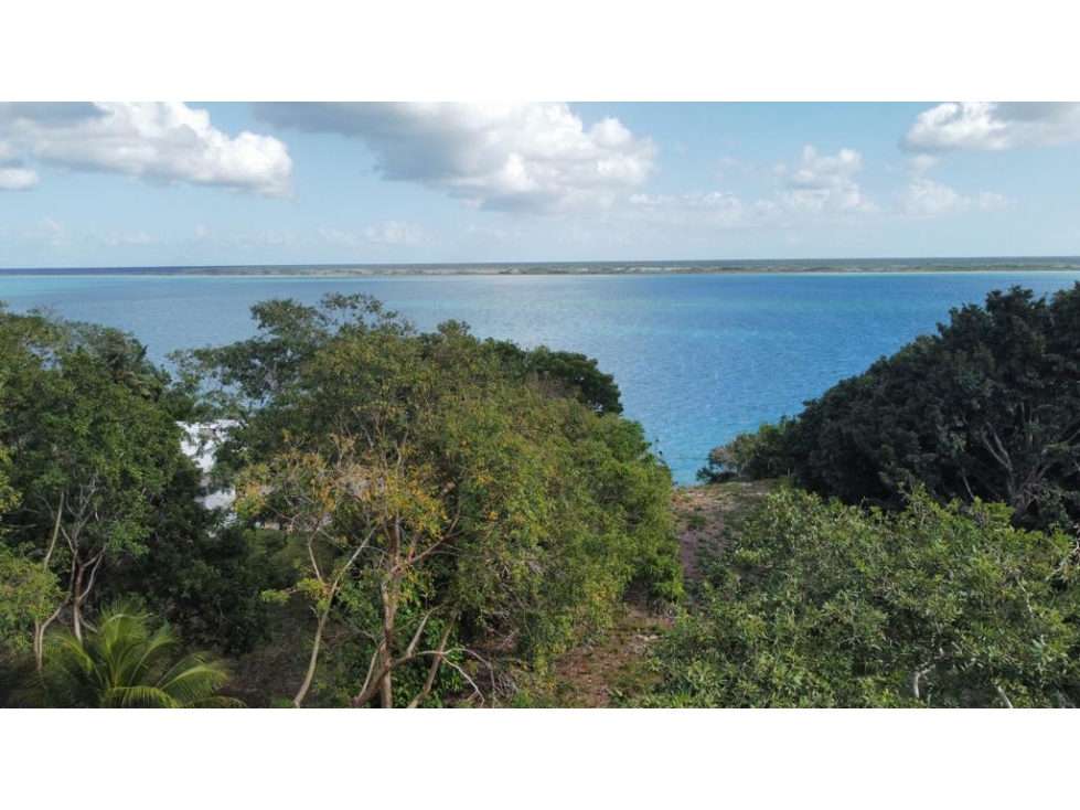 Venta Terreno Bacalar a 50 mts de la laguna - 3