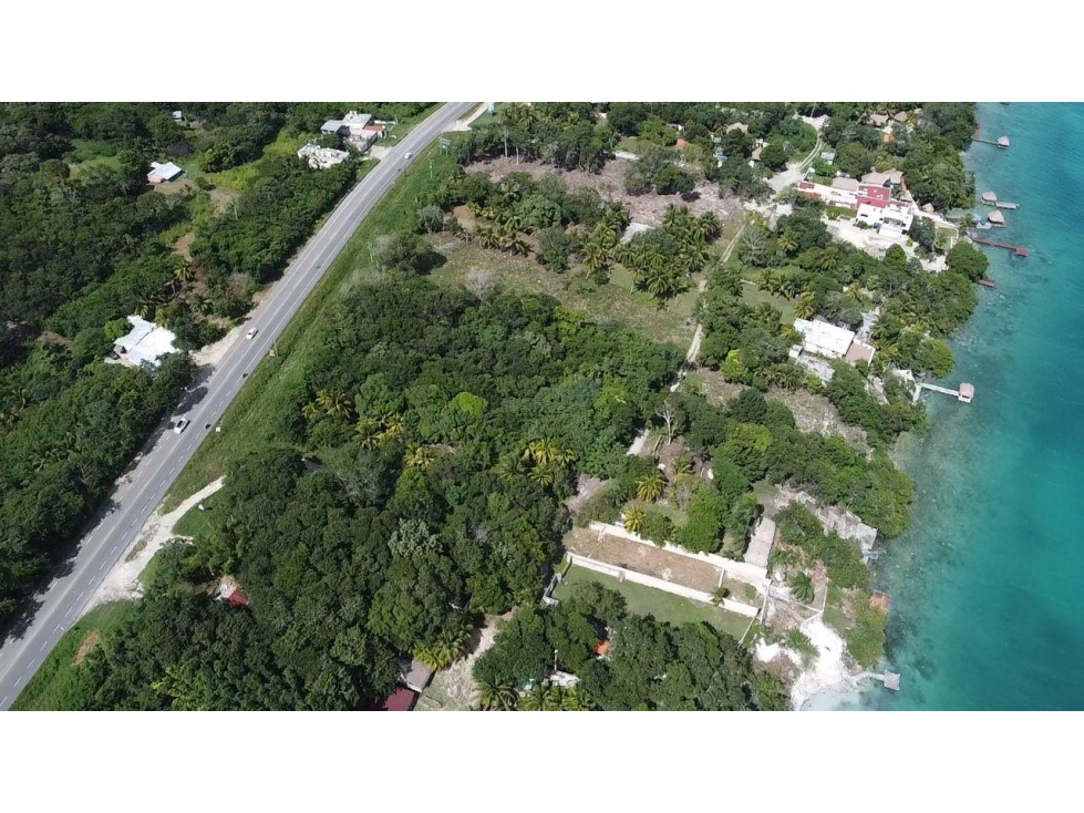 Venta Terreno Bacalar a 50 mts de la laguna - 4