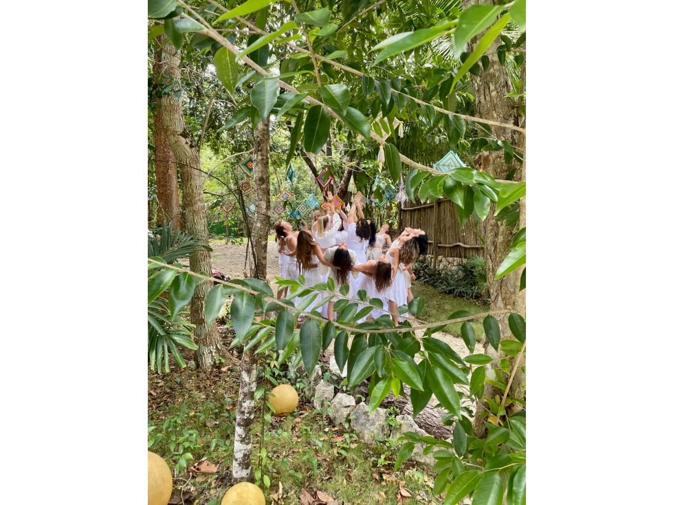 Hotel Boutique en Venta Renta Tulum Naturaleza Lujo y Potencial - 6
