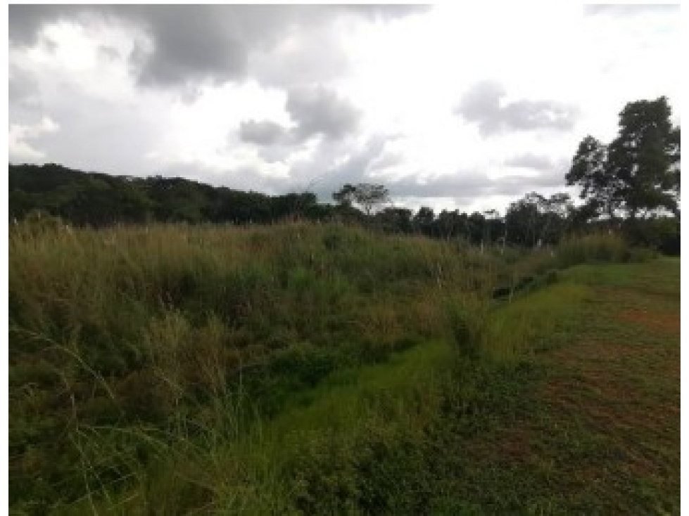 VENTA DE TERRENO EN GREEN CITY, CORREG. ERNESTO CORDOBA , PEDREGAL — foto 2