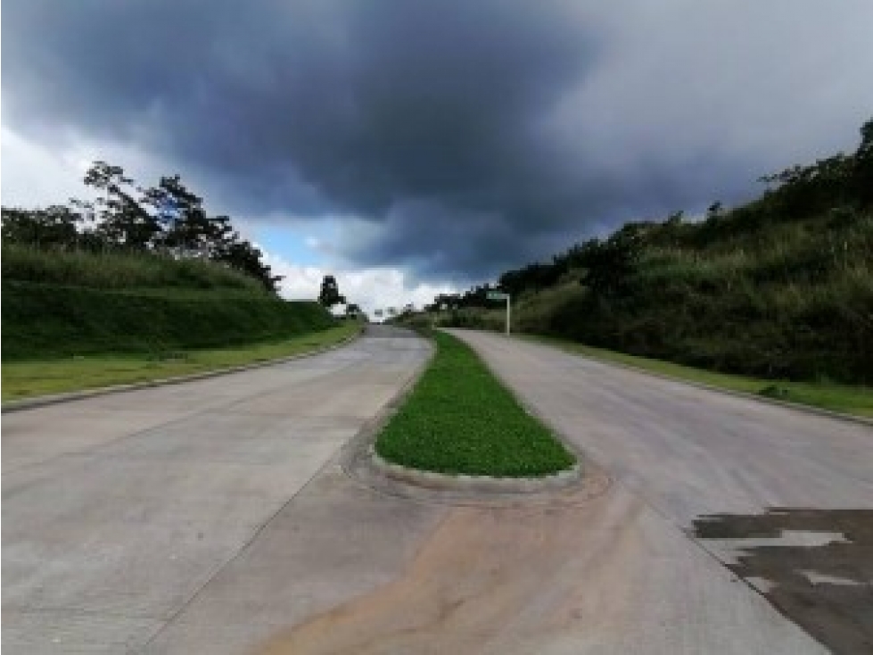 VENTA DE TERRENO EN GREEN CITY, CORREG. ERNESTO CORDOBA , PEDREGAL — foto 6