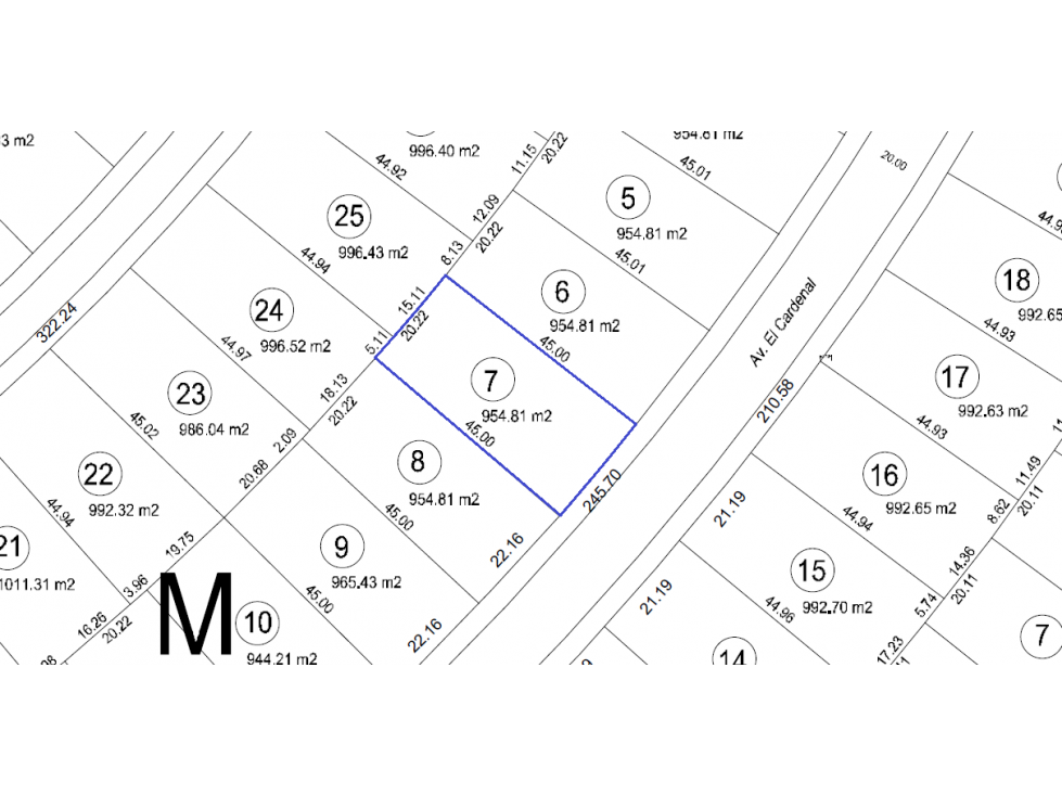 Lote central en Los Juncos - 1