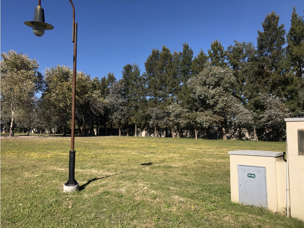 Lote en Lomas de San Antonio - 6