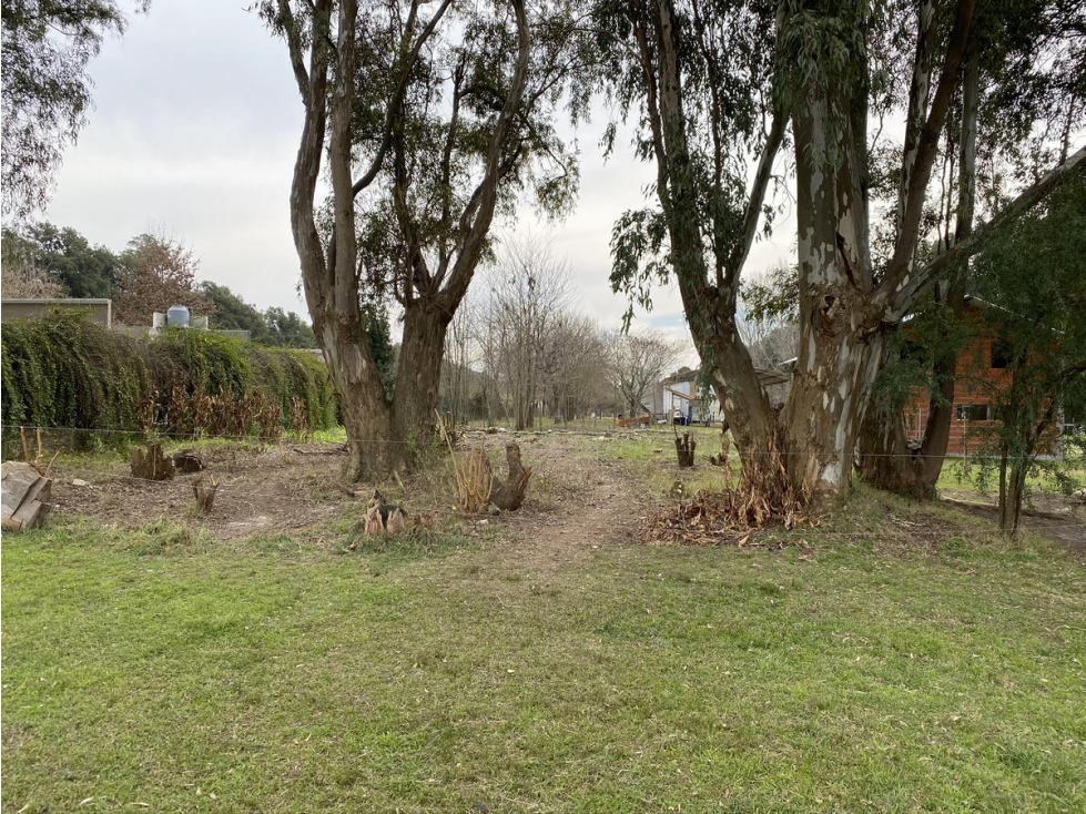 Barrio Casuarinas de Luján — foto 2