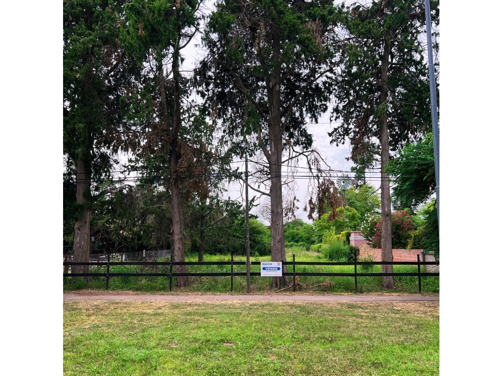 Lote en Pueblo Nuevo — foto 2