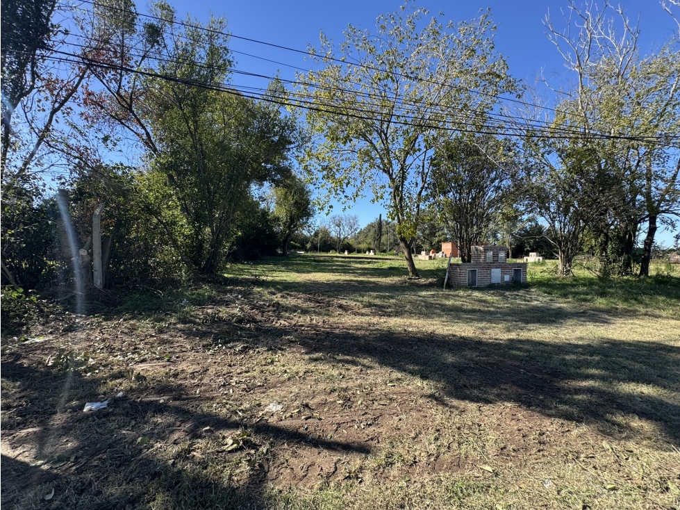 Lote frente a Av. Roca — foto 6