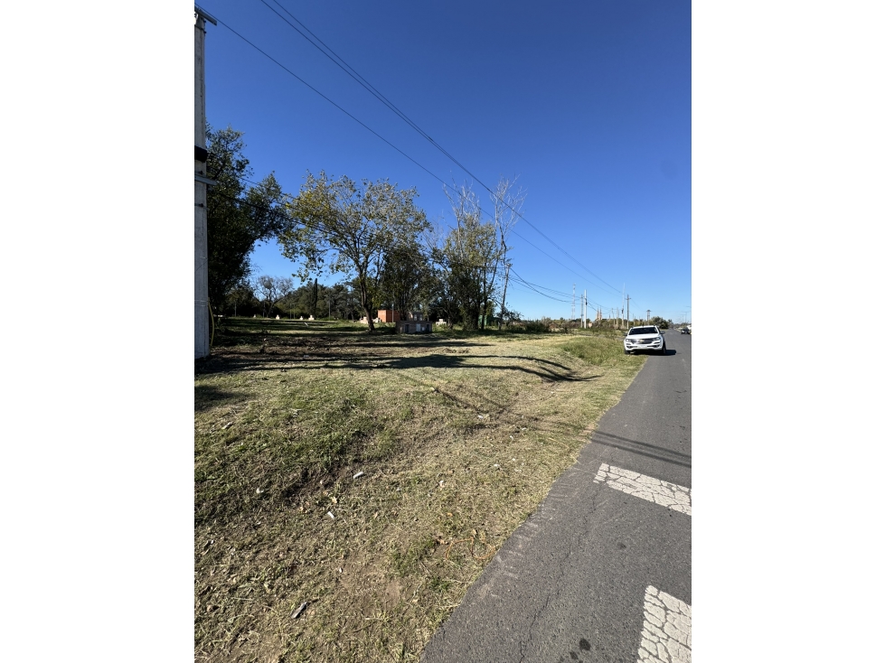 Lote frente a Av. Roca — foto 4