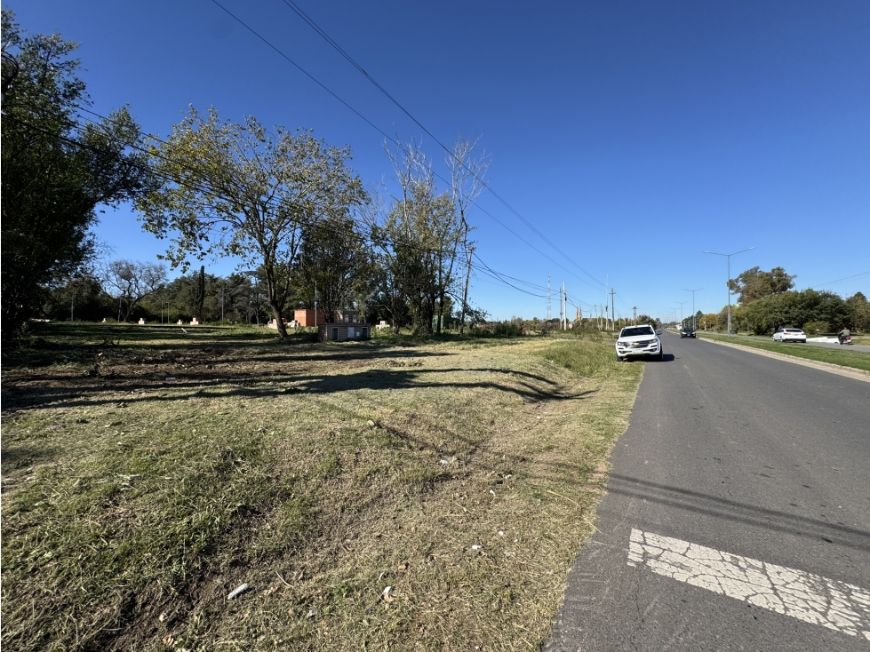Lote frente a Av. Roca — foto 5
