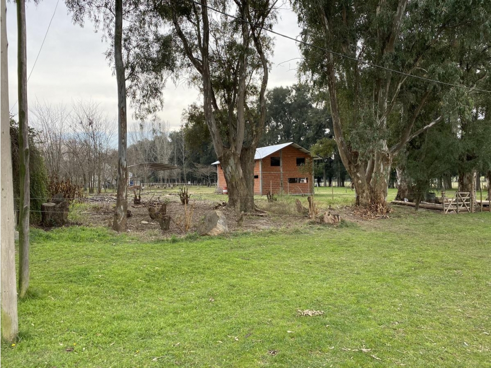 Barrio Casuarinas de Luján — foto 3