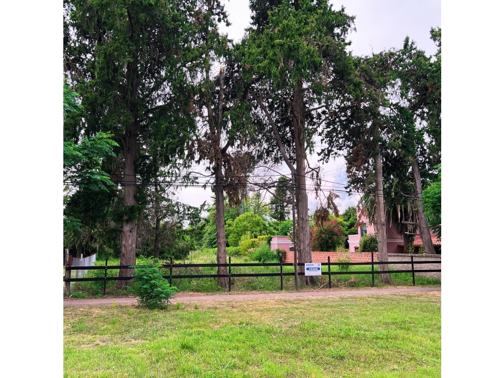 Lote en Pueblo Nuevo — foto 4