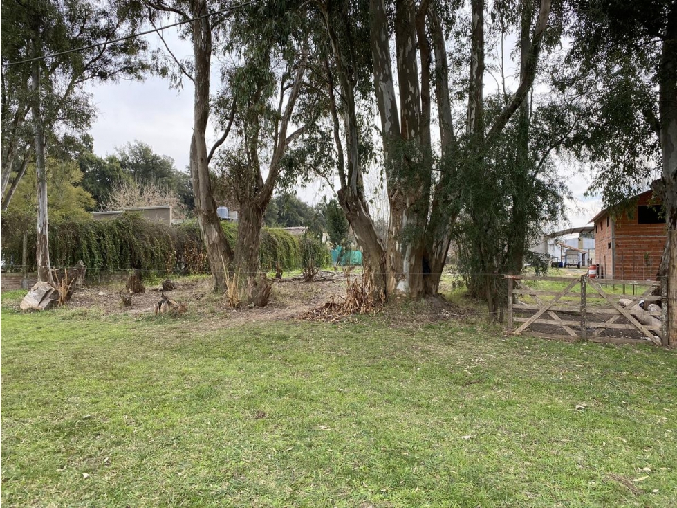 Barrio Casuarinas de Luján — foto 5