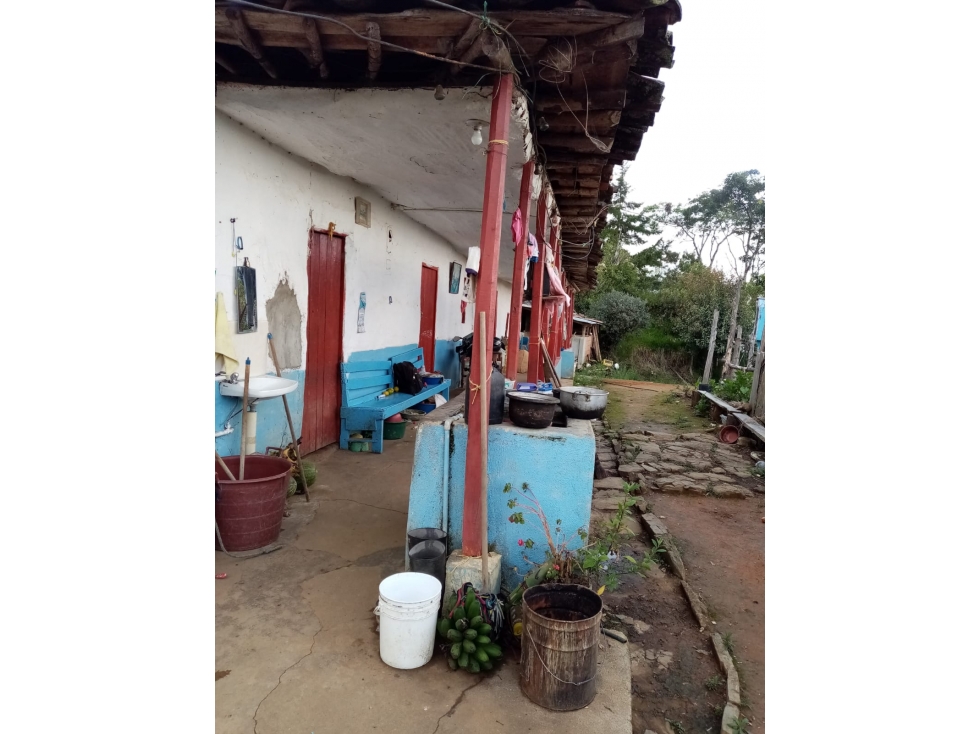 Finca + Cantera en Abejorral: 30.000m² con Alto Potencial de Inversión - 2