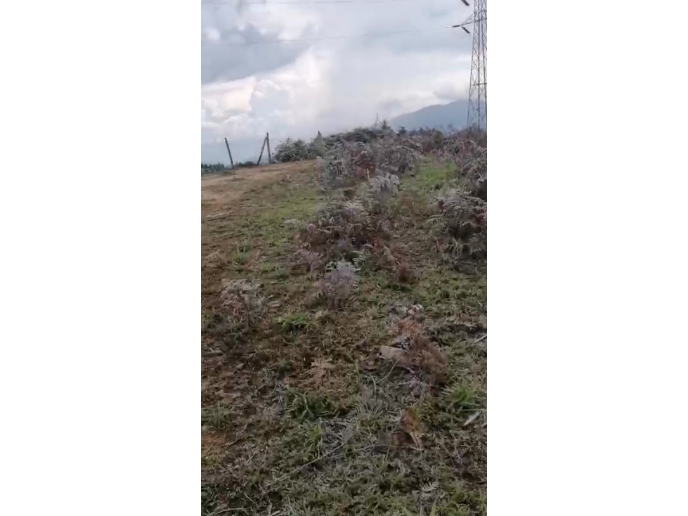 Lote 3.6 Hectáreas en La Ceja Vereda Colmenas | 100% Aprovechable — foto 5