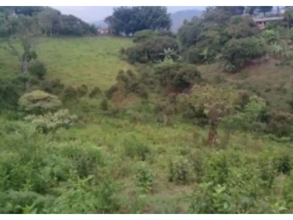 Vencambio Lote Sector Vereda Ovejas San Vicente
