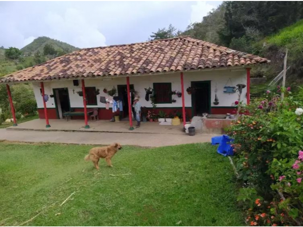 Venta de Finca Vereda La Magdalena San Vicente