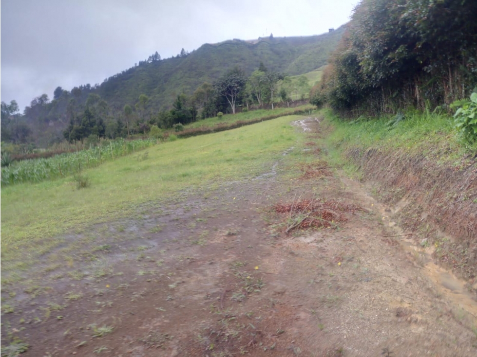 Venta de Lote Sector Vereda La Enea San Vicente