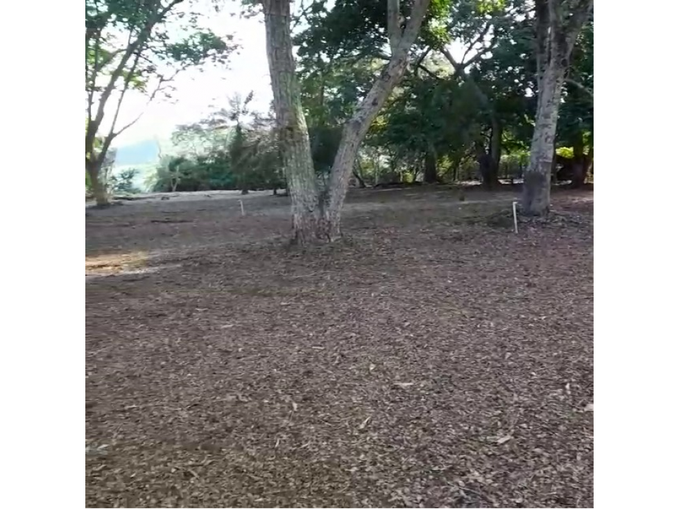 Venta de Lote Urbano Sector Llano de Bolívar, Santa Fe de Antioquia - 1