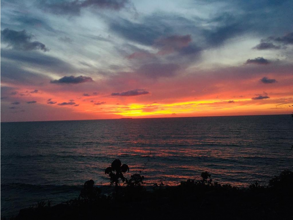 Venta de Lote Sector Vía al Hoyito Puerto Escondido - 3