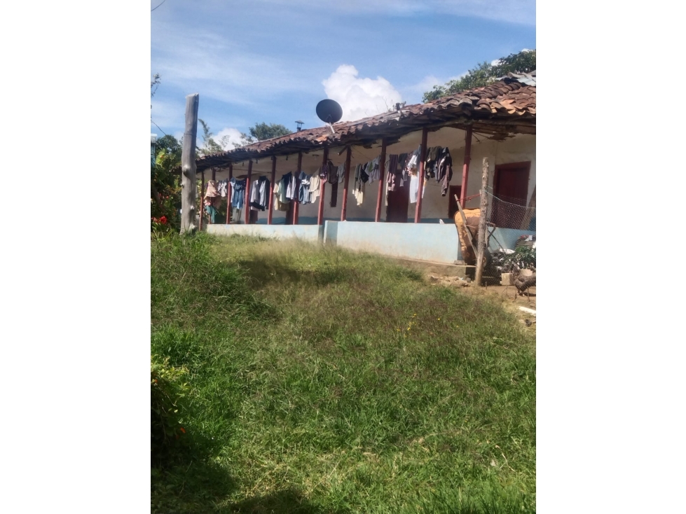 Finca + Cantera en Abejorral: 30.000m² con Alto Potencial de Inversión - 1