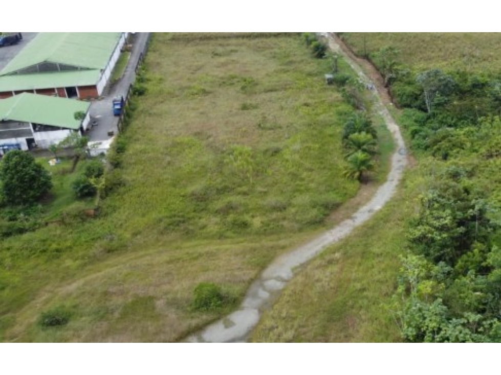 Venta de Lote 1 Sector Puerto Arturo Buenaventura - 4