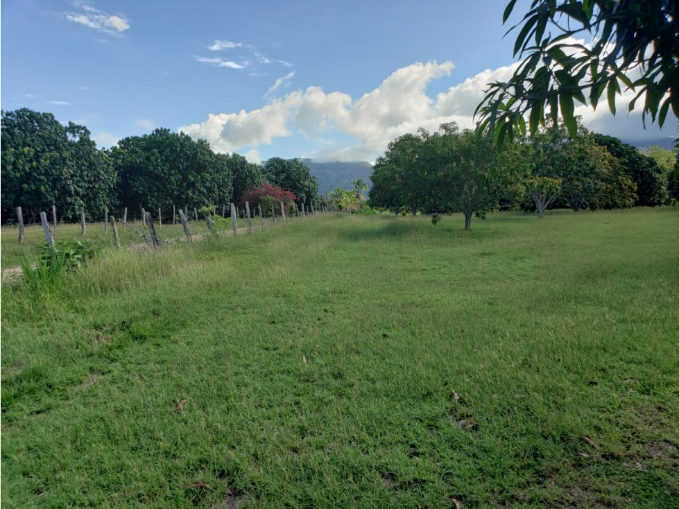 Vencambio Finca Agroindustrial Vereda La Pastorcita Suarez Tolima - 2