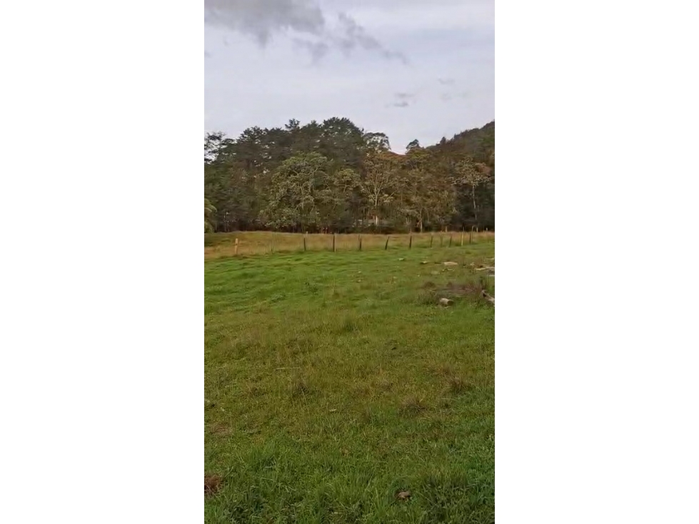 Venta de Lote Sector Vía Don Diego Llanogrande