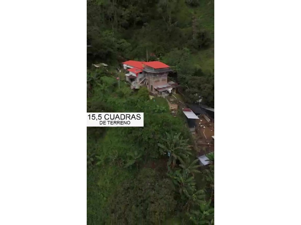 Vencambio Finca Cafetera Balboa Risaralda - 1