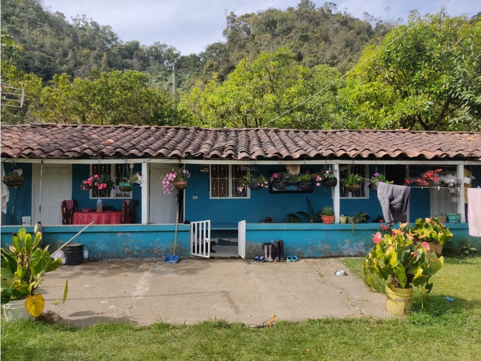 Finca 14 Hectáreas en San Vicente Ferrer | Cascadas y Aguacates