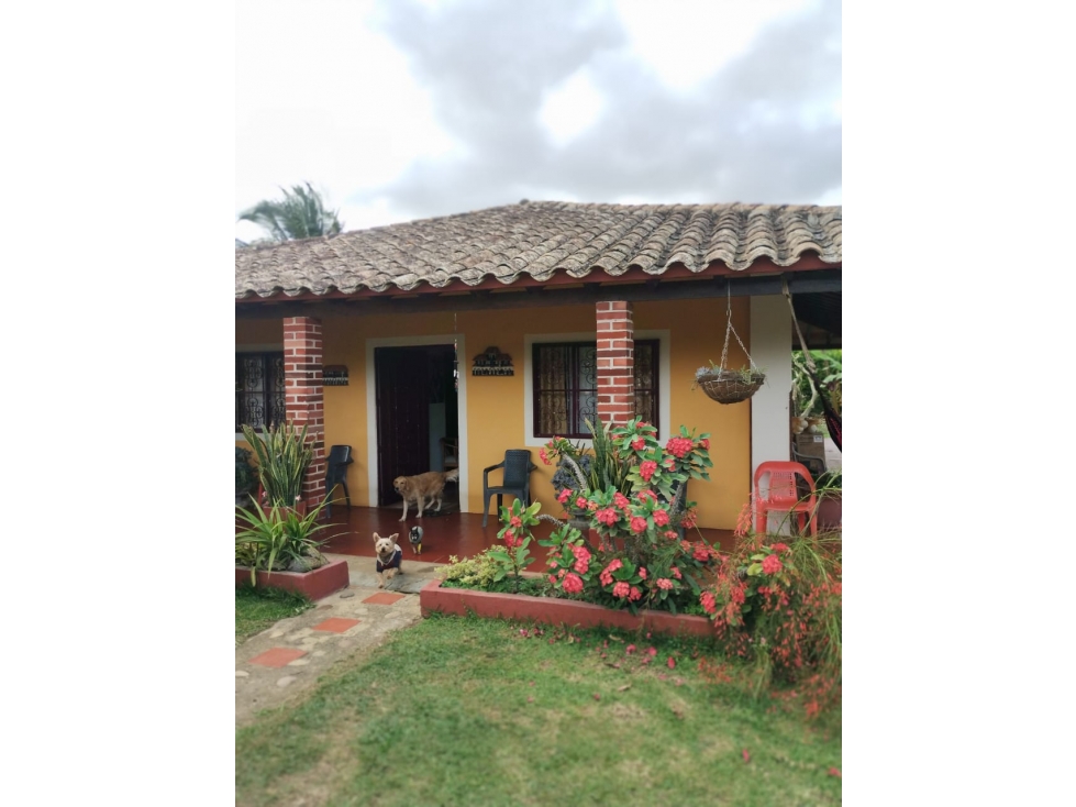 Finca 7.8Ha en Bucaramanga Vereda Puyana | Lagos, Cítricos y Renta - 1