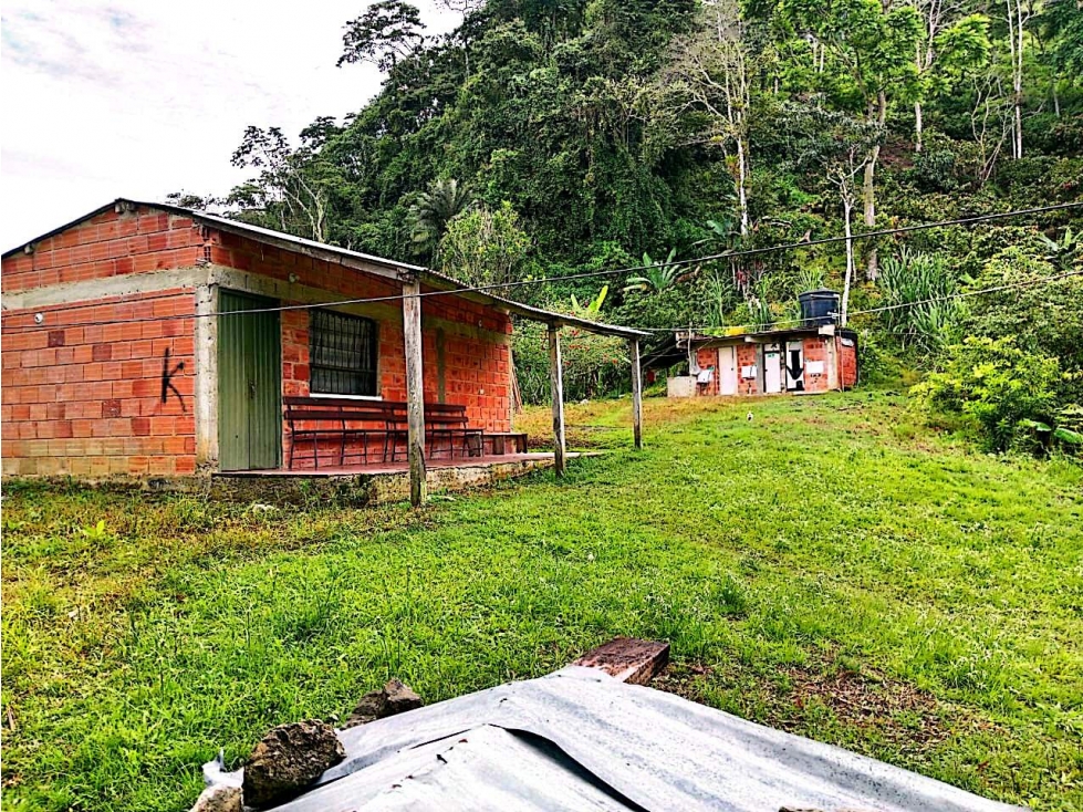 Venta 50% Proyecto Minero Esmeraldas en Pauna Boyacá - 1