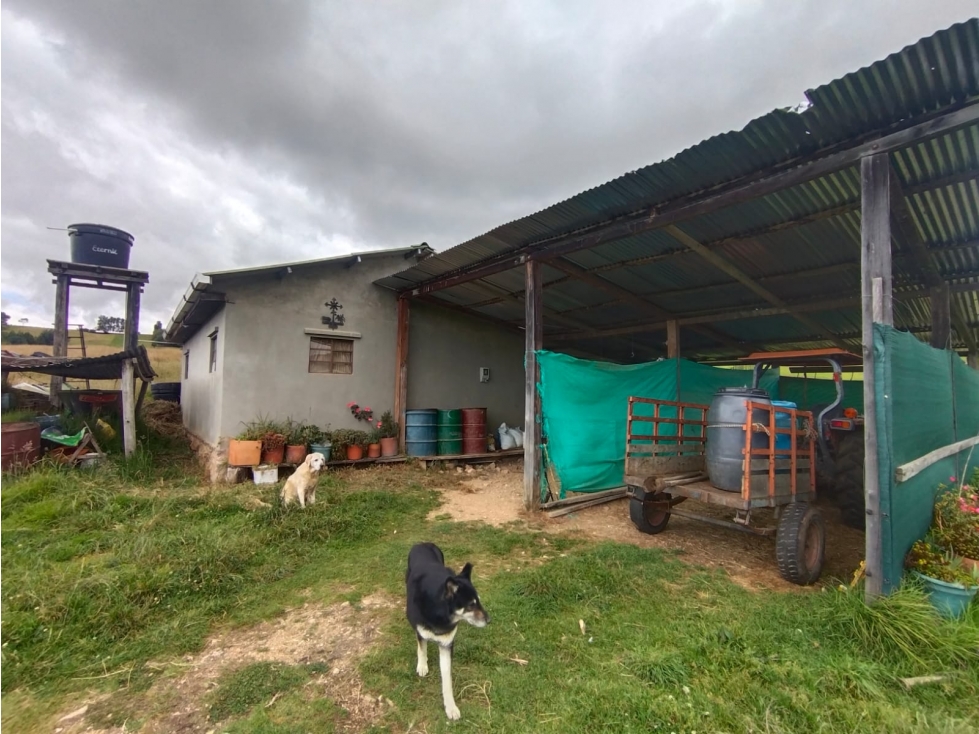 Finca 55 Fanegadas en Chocontá | Con 200 Reses y Puerta Cerrada - 1