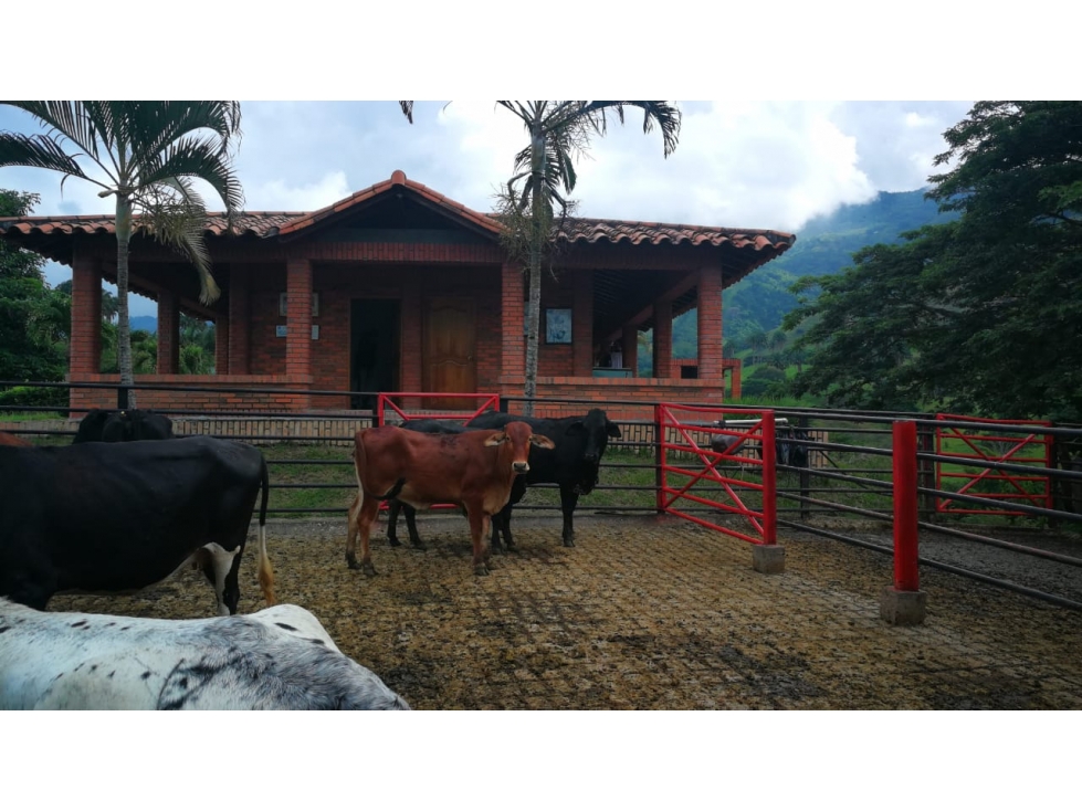 Vencambio Finca Sector Obando Valle del Cauca - 2