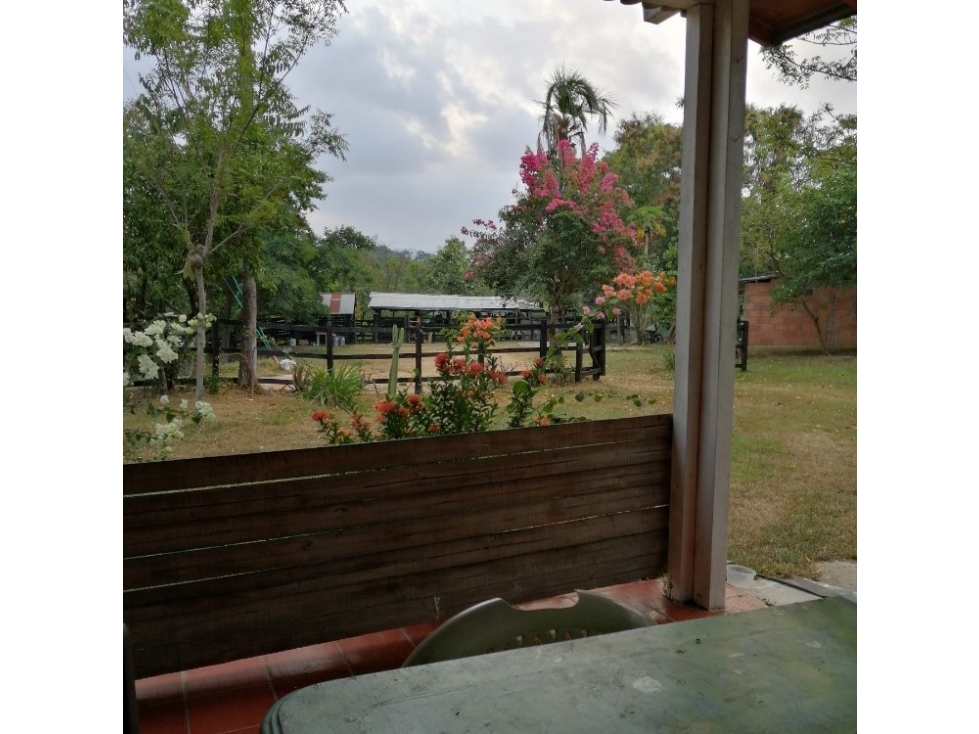 Venta de Hacienda Ganadera Vereda La Quiebra Puerto Boyacá - 2