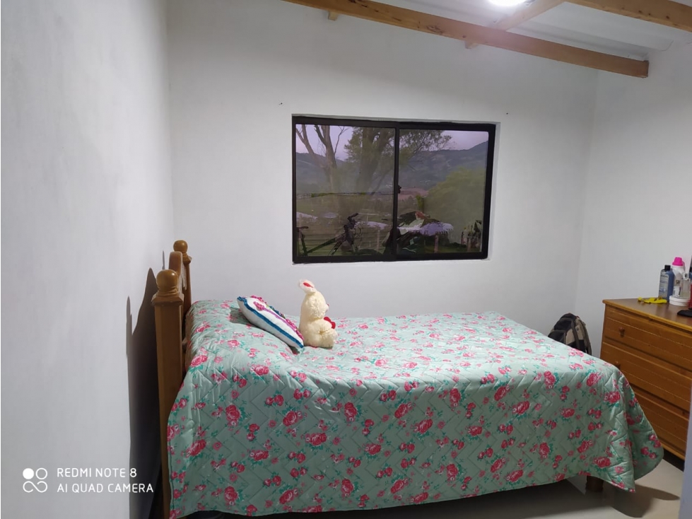 Venta de Finca Lechera Vereda La Ranchería Sonsón - 3