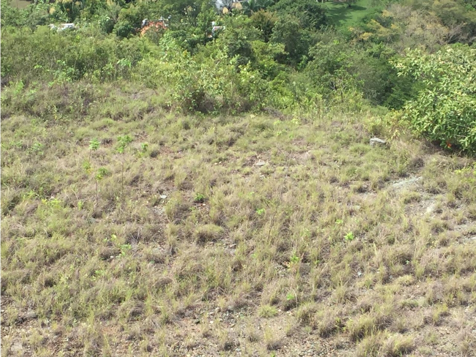 Vencambio Lote Sector Vereda El Espinal Santa Fe de Antioquia - 1