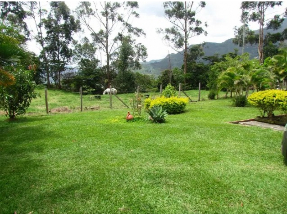 Venta de Finca Vereda El Llano Copacabana — foto 4
