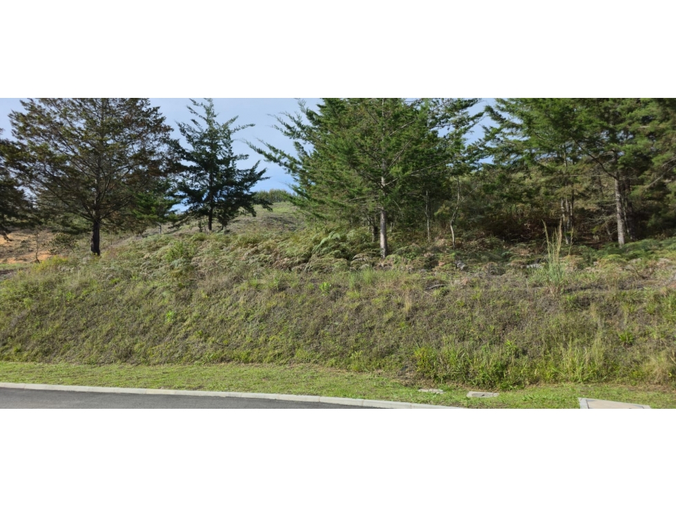 Venta de Lote Condominio Verde Campiña, La Ceja Antioquia — foto 6