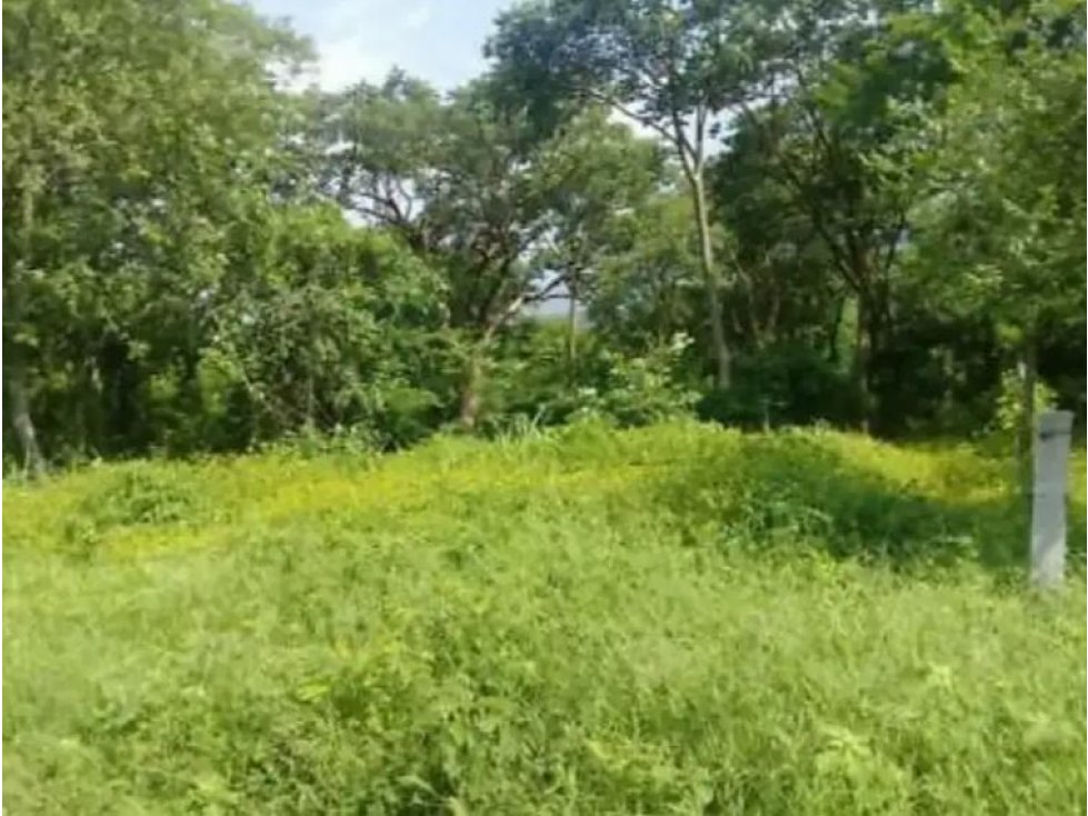 Vencambio Lote Sector Vereda Ovejas San Vicente — foto 2