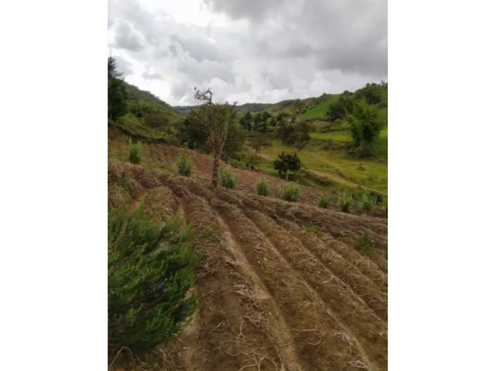 Venta de Finca Vereda La Magdalena San Vicente — foto 2