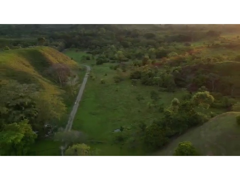 Venta de Hacienda Ganadera Vereda La Quiebra Puerto Boyacá - 6