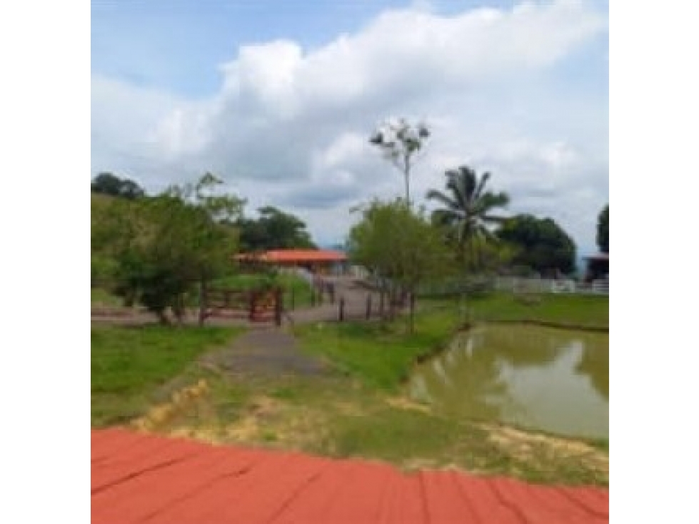 Venta de Finca Vereda El Marfil Puerto Boyacá - 2