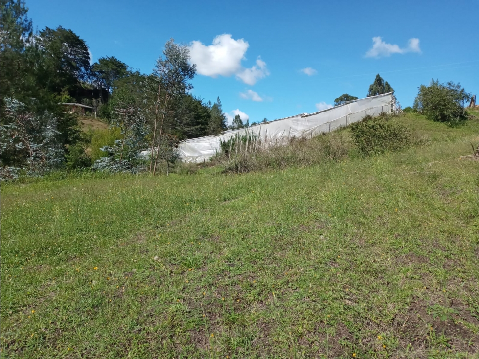Venta de Lote Sector Vereda La Enea Guarne — foto 2