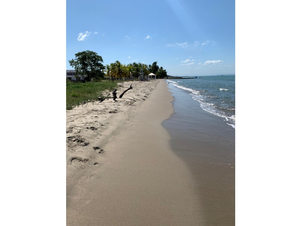 Venta de Lote AFrente de la Playa Vía Cienaga El Francés - 2