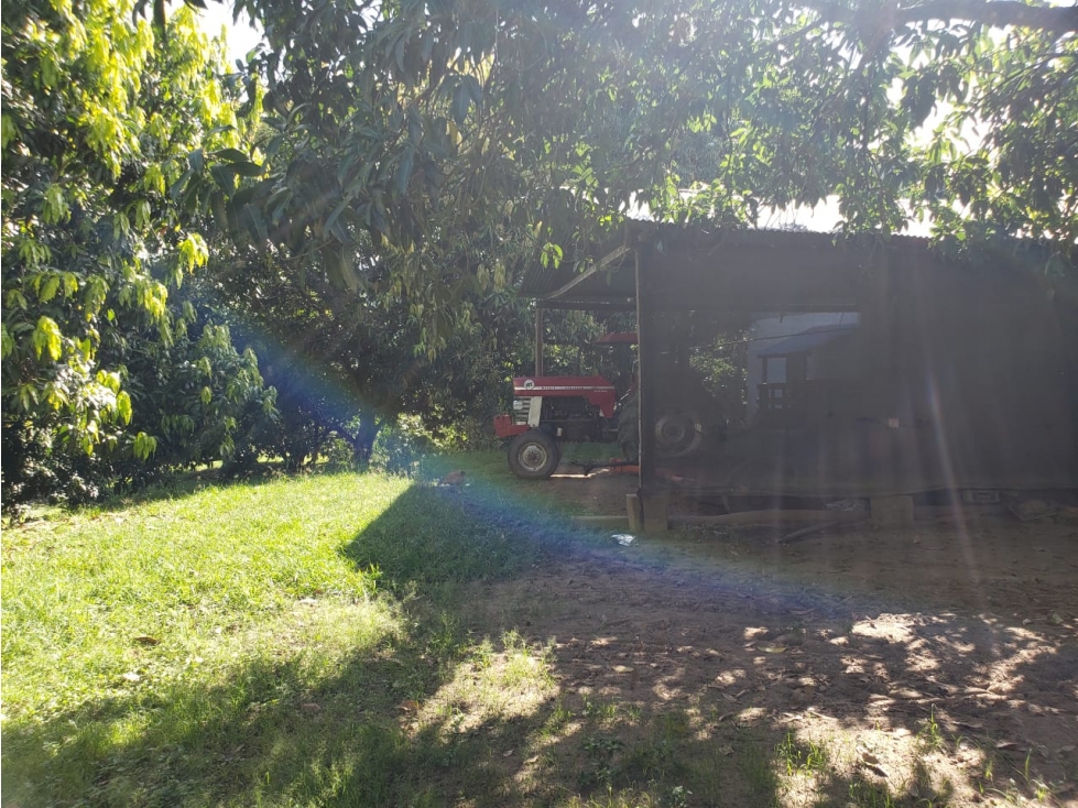 Vencambio Finca Agroindustrial Vereda La Pastorcita Suarez Tolima - 3