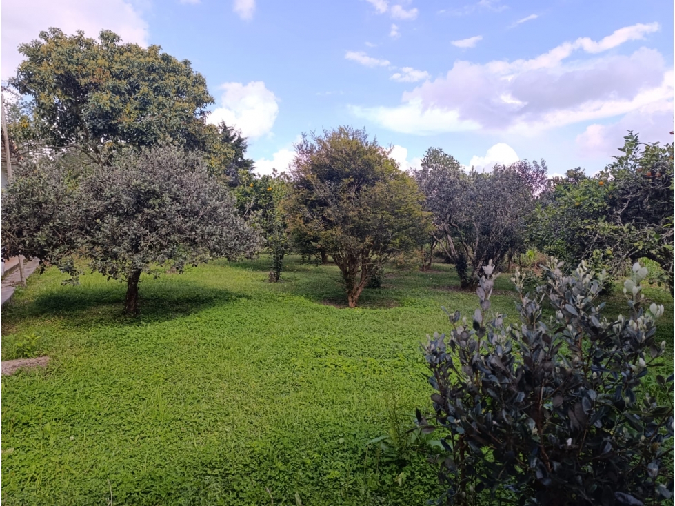 Finca 11.000m² Guarne El Colorado | $1.000M, 50% Plana y Lagos — foto 2