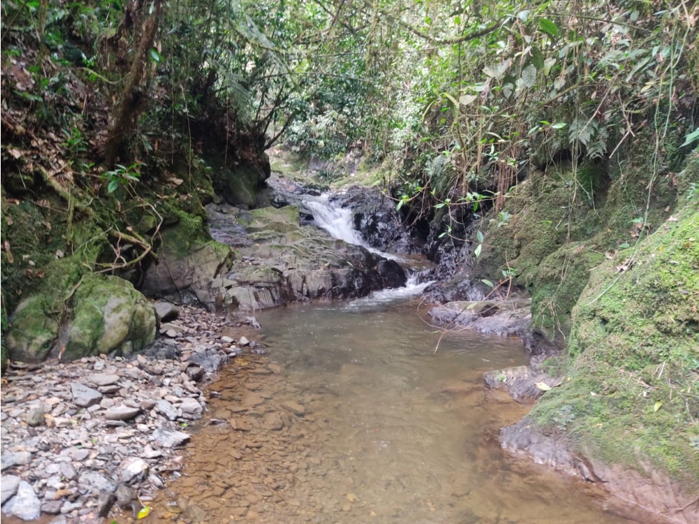 Finca 14 Hectáreas en San Vicente Ferrer | Cascadas y Aguacates — foto 2