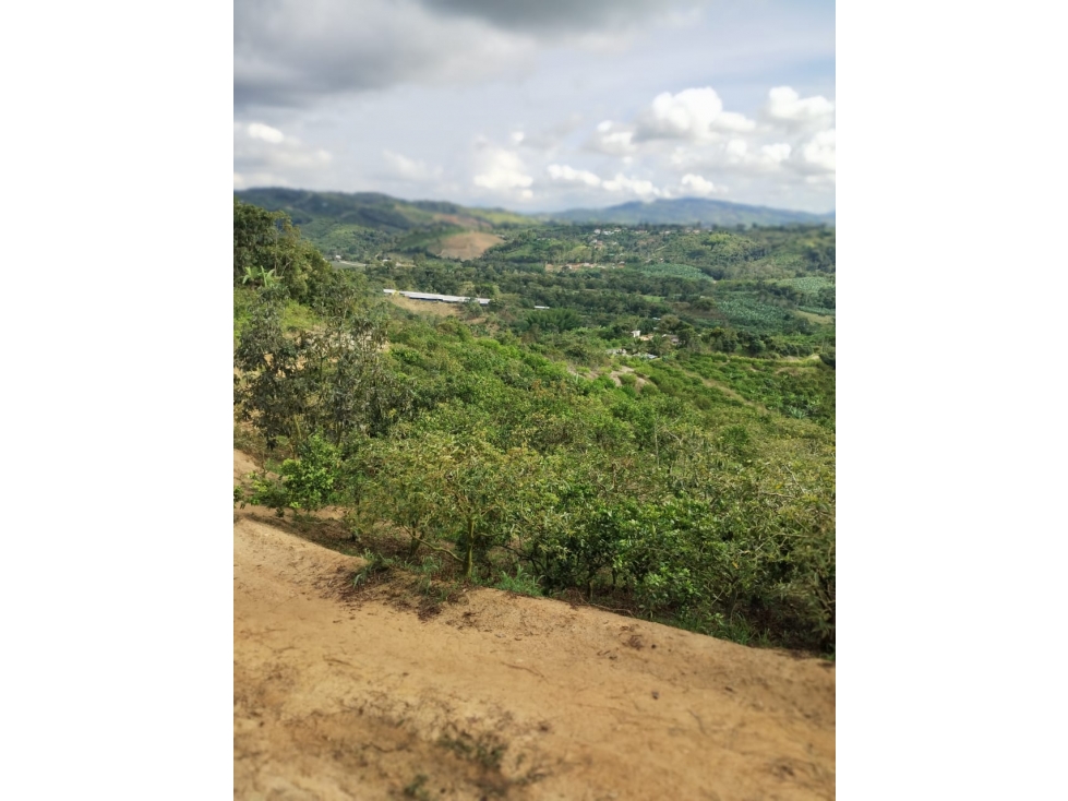 Finca 7.8Ha en Bucaramanga Vereda Puyana | Lagos, Cítricos y Renta - 2
